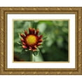 thumbnail image 1 of Bonin, Suzanne 18x15 Gold Ornate Wood Framed with Double Matting Museum Art Print Titled - Rebel, 1 of 4