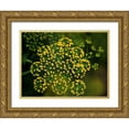 thumbnail image 1 of Bonin, Suzanne 18x15 Gold Ornate Wood Framed with Double Matting Museum Art Print Titled - Tiny Beauties, 1 of 4