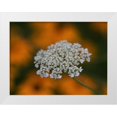thumbnail image 1 of Bonin, Suzanne 18x15 White Modern Wood Framed Museum Art Print Titled - Dentelle, 1 of 4