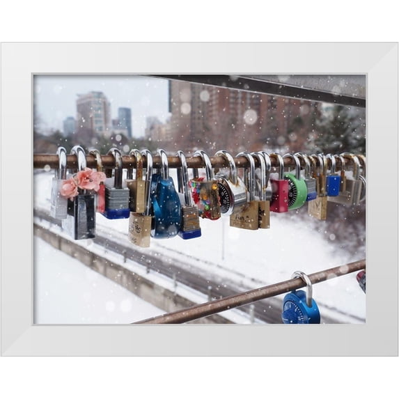 Bonin, Suzanne 18x15 White Modern Wood Framed Museum Art Print Titled - Love Locks