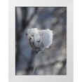 thumbnail image 1 of Bonin, Suzanne 19x24 White Modern Wood Framed Museum Art Print Titled - Icewine, 1 of 4