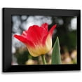 thumbnail image 1 of Bonin, Suzanne 24x19 Black Modern Framed Museum Art Print Titled - Happy One, 1 of 5