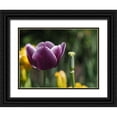 thumbnail image 1 of Bonin, Suzanne 24x19 Black Ornate Wood Framed with Double Matting Museum Art Print Titled - Before After, 1 of 4