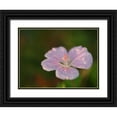 thumbnail image 1 of Bonin, Suzanne 24x19 Black Ornate Wood Framed with Double Matting Museum Art Print Titled - Pretty Pretty, 1 of 4