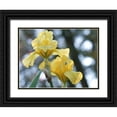 thumbnail image 1 of Bonin, Suzanne 24x19 Black Ornate Wood Framed with Double Matting Museum Art Print Titled - Water Flag, 1 of 4