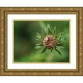 thumbnail image 1 of Bonin, Suzanne 24x19 Gold Ornate Wood Framed with Double Matting Museum Art Print Titled - Budding Aster, 1 of 4