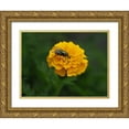 thumbnail image 1 of Bonin, Suzanne 24x19 Gold Ornate Wood Framed with Double Matting Museum Art Print Titled - Fly on Yellow Marigold, 1 of 4