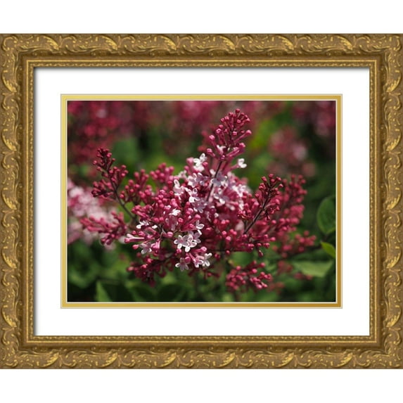 Bonin, Suzanne 24x19 Gold Ornate Wood Framed with Double Matting Museum Art Print Titled - Joy