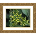 thumbnail image 1 of Bonin, Suzanne 24x19 Gold Ornate Wood Framed with Double Matting Museum Art Print Titled - Little Stars, 1 of 4