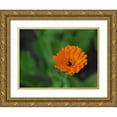 thumbnail image 1 of Bonin, Suzanne 24x19 Gold Ornate Wood Framed with Double Matting Museum Art Print Titled - Pot Marigold, 1 of 4
