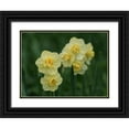 thumbnail image 1 of Bonin, Suzanne 32x25 Black Ornate Wood Framed with Double Matting Museum Art Print Titled - Double Daffodils, 1 of 4