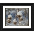 thumbnail image 1 of Bonin, Suzanne 32x25 Black Ornate Wood Framed with Double Matting Museum Art Print Titled - Frozen Burdock, 1 of 4