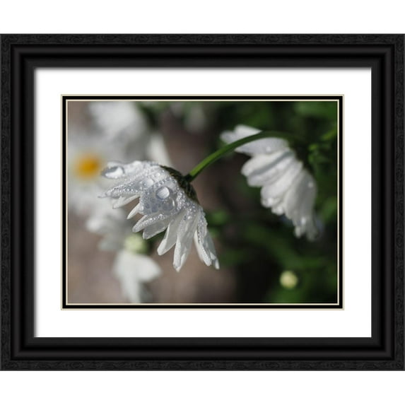 Bonin, Suzanne 32x25 Black Ornate Wood Framed with Double Matting Museum Art Print Titled - Jewels Of Nature