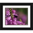 thumbnail image 1 of Bonin, Suzanne 32x25 Black Ornate Wood Framed with Double Matting Museum Art Print Titled - Looking for something, 1 of 4