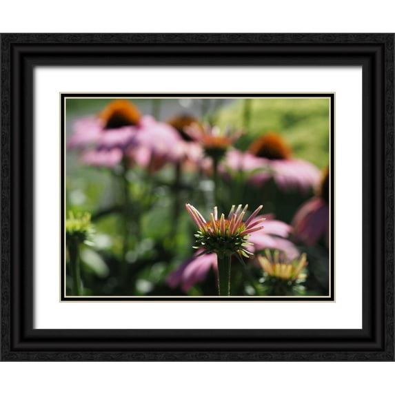 Bonin, Suzanne 32x25 Black Ornate Wood Framed with Double Matting Museum Art Print Titled - Spiky