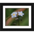 thumbnail image 1 of Bonin, Suzanne 32x25 Black Ornate Wood Framed with Double Matting Museum Art Print Titled - Spring Flower, 1 of 4