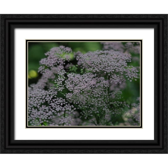 Bonin, Suzanne 32x25 Black Ornate Wood Framed with Double Matting Museum Art Print Titled - Wild Ones