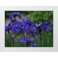 thumbnail image 1 of Bonin, Suzanne 32x25 White Modern Wood Framed Museum Art Print Titled - Blue Ones, 1 of 4