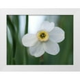 thumbnail image 1 of Bonin, Suzanne 32x25 White Modern Wood Framed Museum Art Print Titled - New Beginnings, 1 of 4