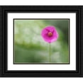 thumbnail image 1 of Bonin, Suzanne 32x26 Black Ornate Wood Framed with Double Matting Museum Art Print Titled - Tiny Beauty, 1 of 4