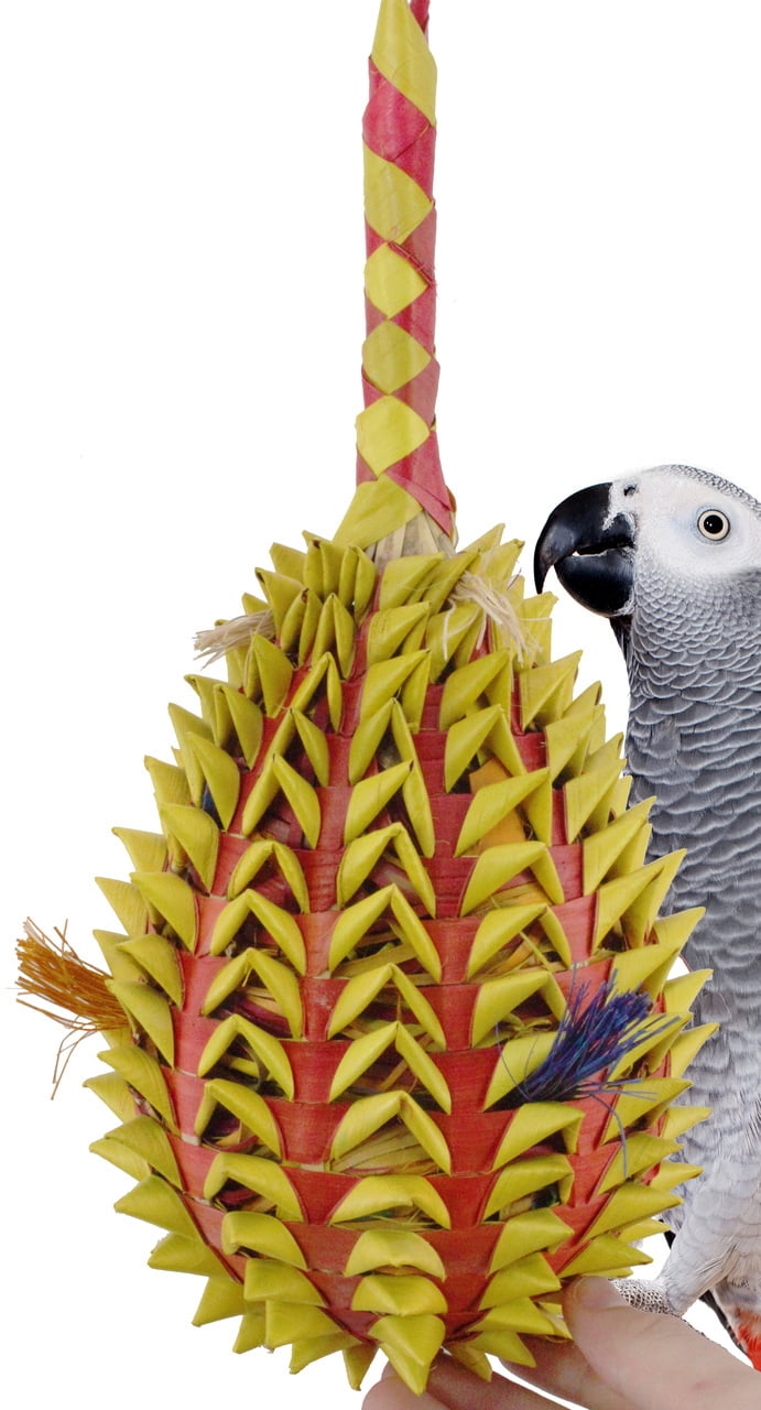 Bonka Bird Toys 03367 X-Large Pineapple Foraging Bird Toy.