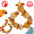 thumbnail image 1 of Bonka Bird Toys 1199 Natures Harmony Swing Sola Atta Luffa Coconut Parrot Chew, 1 of 8