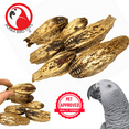 thumbnail image 1 of Bonka Bird Toys 2449 Pk6 Mahogany Pods Foot Talon Craft Part Parrot Chew Treat, 1 of 6