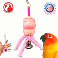 thumbnail image 1 of Bonka Bird Toys 2898 Wiggly Pig, 1 of 7