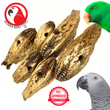 Bonka Bird Toys 3410 Pk6 Drilled Mahogany Pods Foot Talon Craft Part Parrot Toys