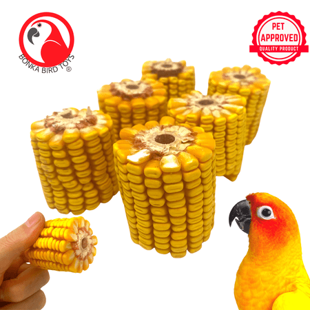 Bonka Bird Toys Bonka bird Toys 3919 Pk6 Natural Half Corn Cob Foot Talon Craft Part Bird Toy