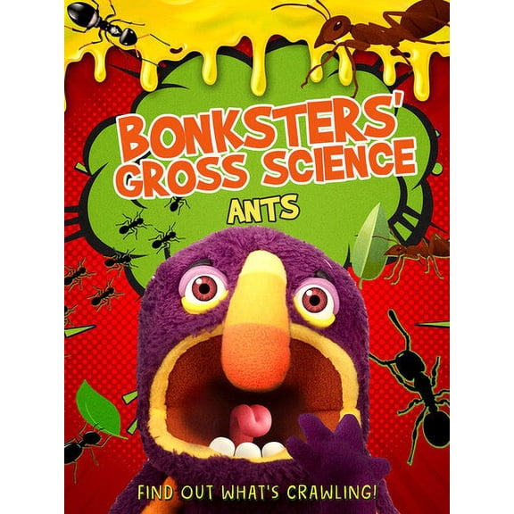 Bonksters Gross Science: Ants (DVD), Wownow, Animation