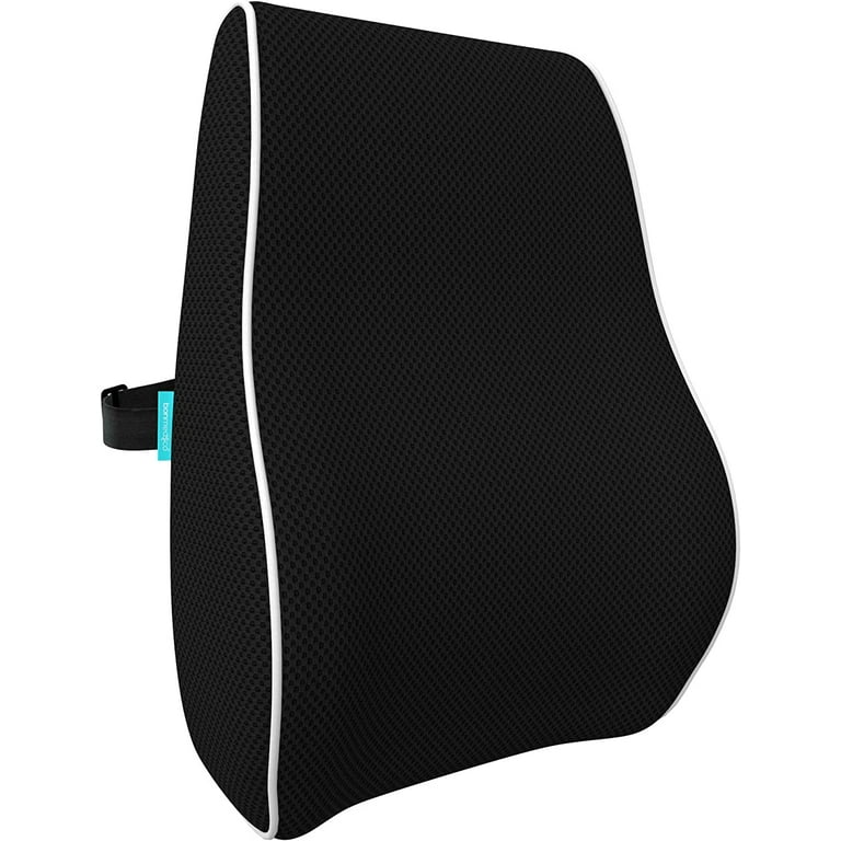 Ecoden® Back Pillow  #1 Back Support For Any Chair