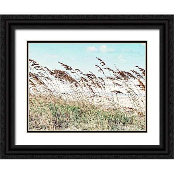 Bonnett, Stede 14x12 Black Ornate Wood Framed with Double Matting Museum Art Print Titled - Eastern Beach Grass II