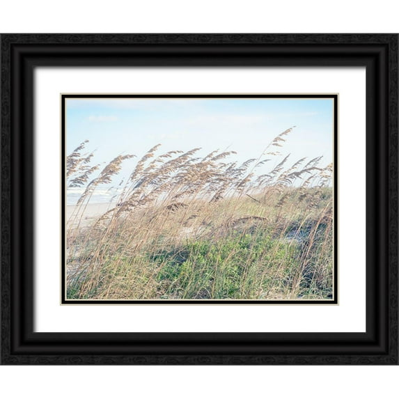 Bonnett, Stede 18x15 Black Ornate Wood Framed with Double Matting Museum Art Print Titled - Eastern Beach Grass I