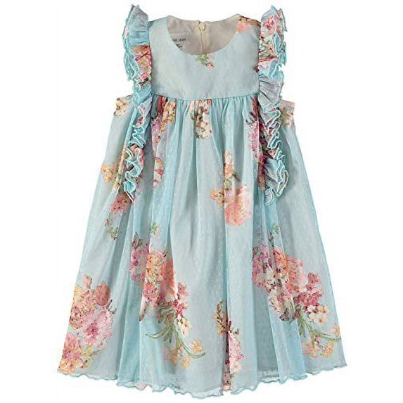 Bonnie Jean Girls 2T-4T Floral Ruffle Dress (Blue 3T)