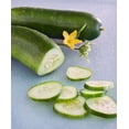 thumbnail image 1 of Bonnie Plants Burpless Bush Cucumber Live Plant (6 Count), 1 of 6