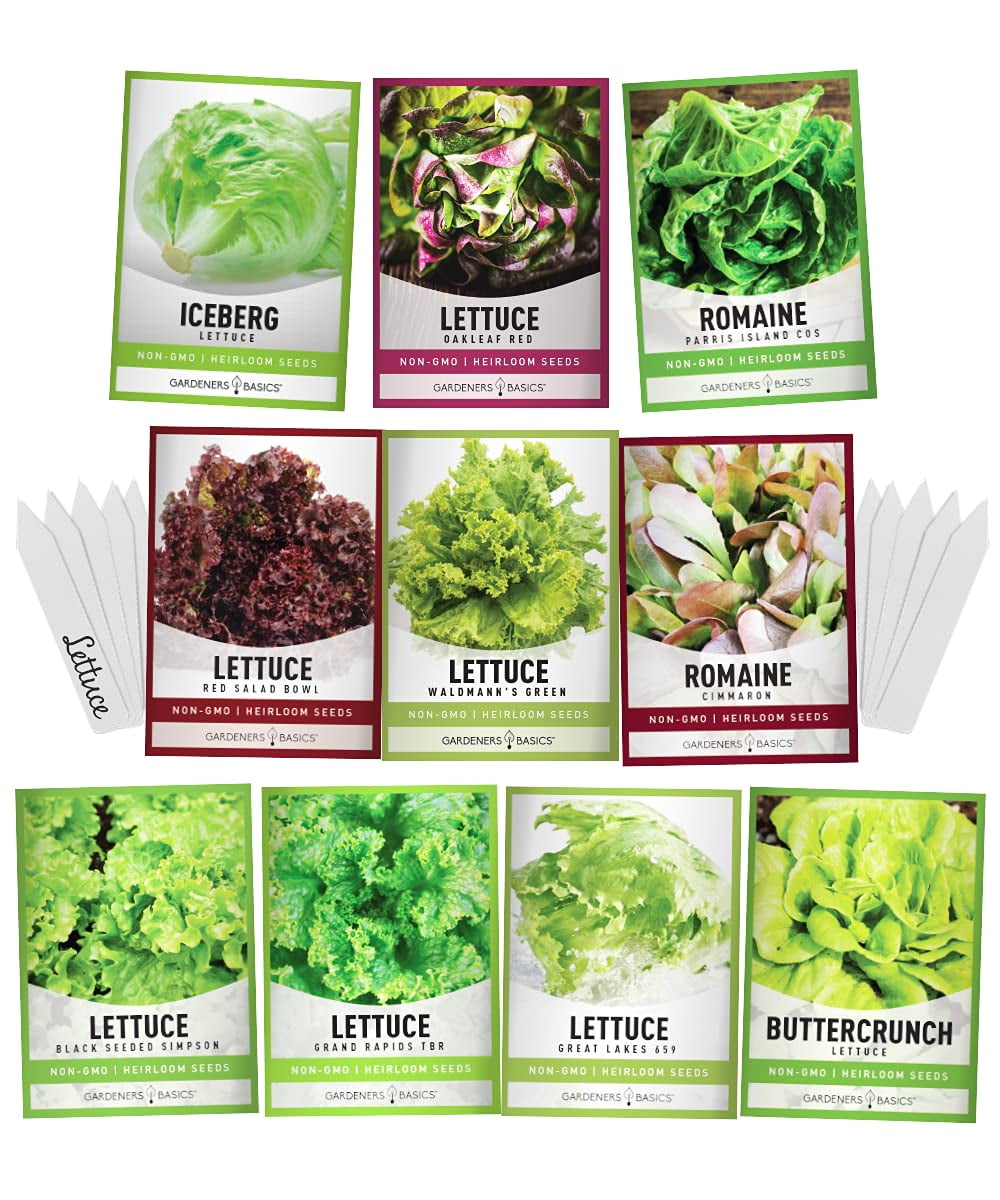 Bonnie Plants Green Romaine Lettuce 19.3 oz. 4-packZAK01