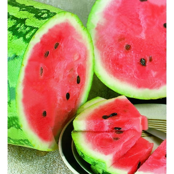 Bonnie Plants Jubilee Watermelon 19.3 oz.