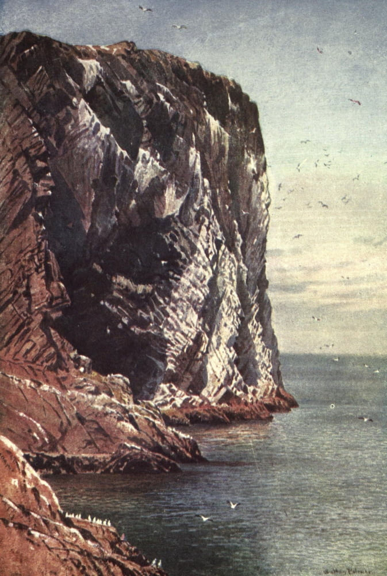 Bonnie Scotland 1912 Bass Rock Firth of Forth Canvas Art - Harold Sutton Palmer (24 x 36)