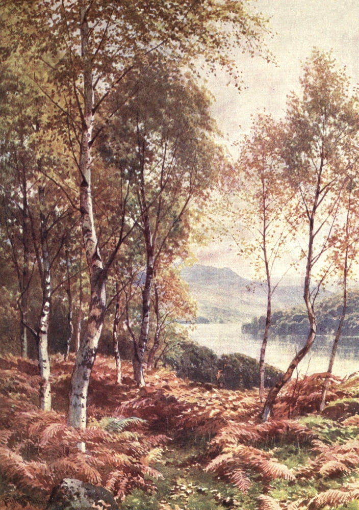 Bonnie Scotland 1912 Birches by Loch Achray Perthshire Canvas Art - Harold Sutton Palmer (18 x 24)