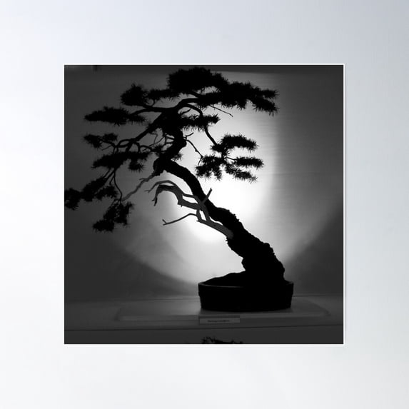 Bonsai Art Poster Wall Art, Modern Wall Decor For Living Room Bedroom, 24x24 UNFRAMED