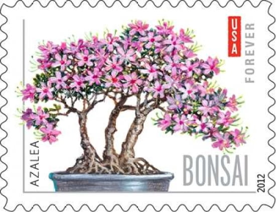 Bonsai Azalea Canvas Art - US POSTAL SERVICE (22 x 28)