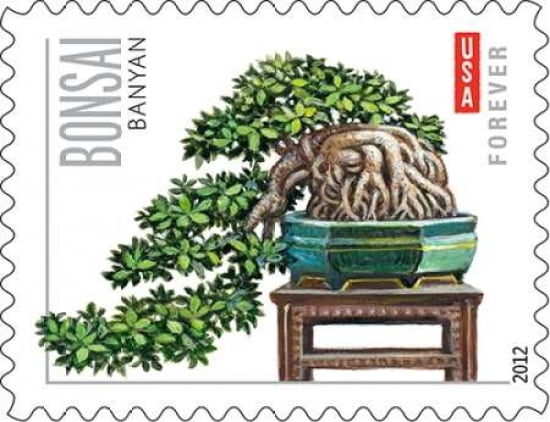 Bonsai Banyan Canvas Art - US POSTAL SERVICE (22 x 28)
