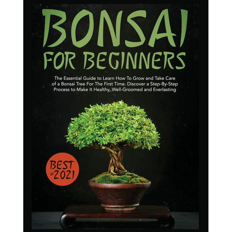 How to Grow Your First Bonsai