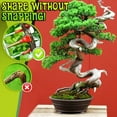 Bonsai Bender, Tree Branch Trunk Bender, Gardening Bonsai Tool Tall