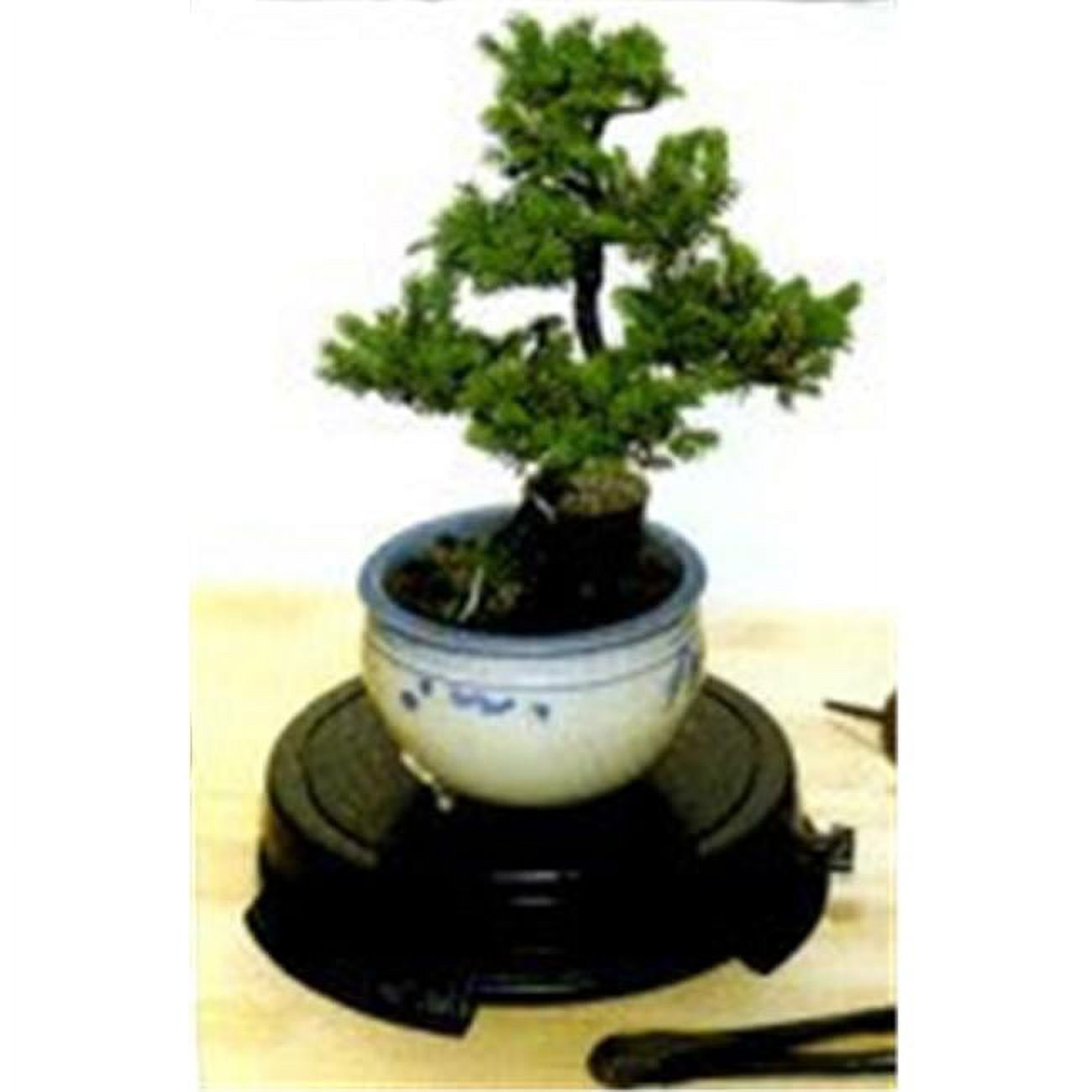 Bonsai Boy b1100 6 in. Tree Turntable