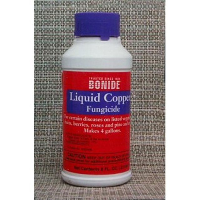 Bonsai Boy b1125 8 oz Liquid Copper Fungicide