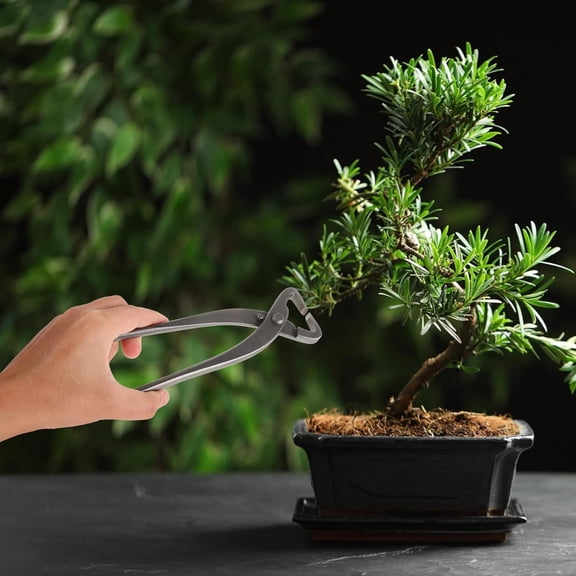 Bonsai Clippers Carbon Steel Pruning Shears Trimming Tools for Bonsai Tree Precision Shaping Gardening Tool for Beginners and Professionals