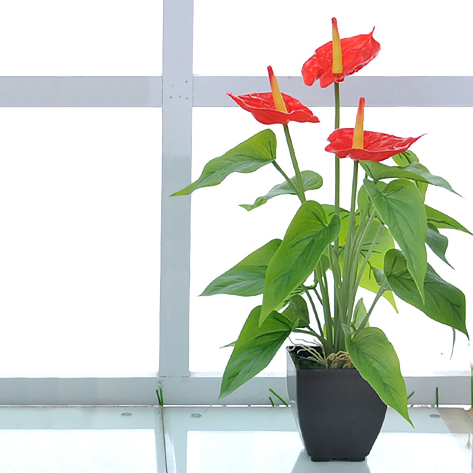 Bonsai Flower Calla Green 2024 on Sale Clearance