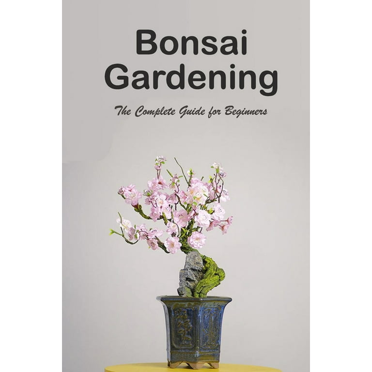 Bonsai Pots: The Ultimate Guide For Beginners